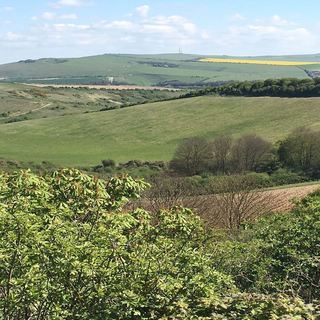 Home GreenhavensNetworkHeaderImage1 1 1024x1024