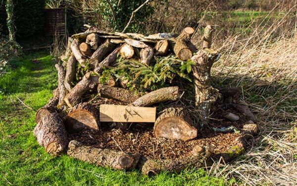 log pile for insects 600x375