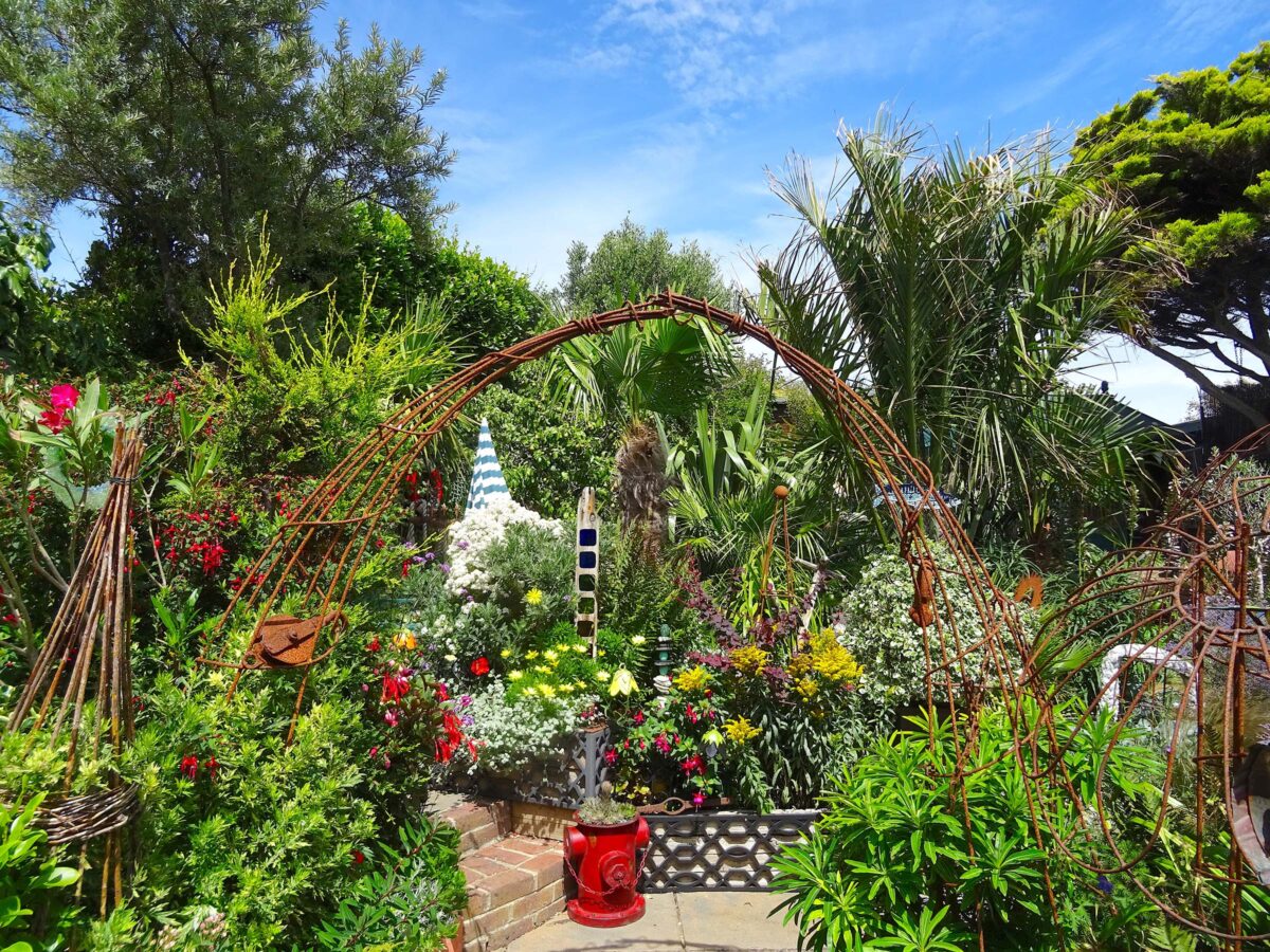 Geoff Stonebanks – Wilder Garden