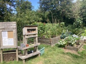 peacehavencommunitygarden 99079e051405143c